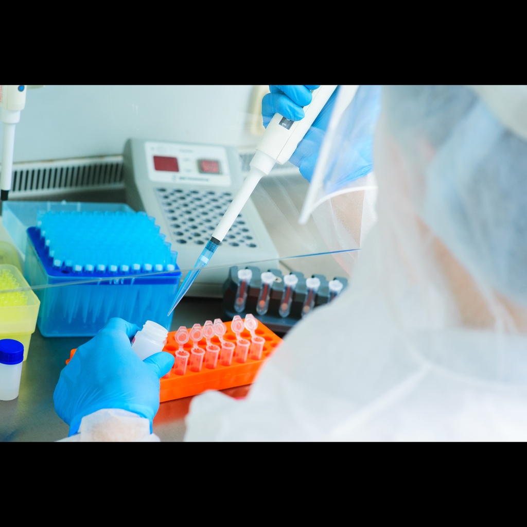 2× Hieff Ultra-Rapid II HotStart PCR Master Mix