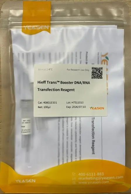 [LY-40806ES01] Hieff TransTM  in vitro siRNA/miRNA Transfection Reagent-0.1 mL
